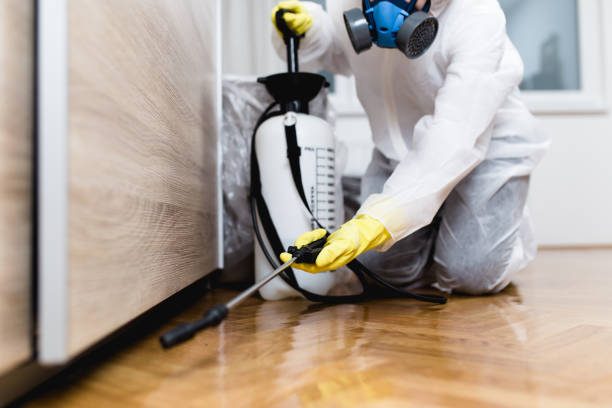 Best Local Pest Control Services  in Sonoma, CA