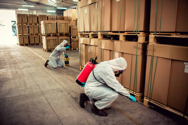 Best Mosquito Control Services  in Sonoma, CA