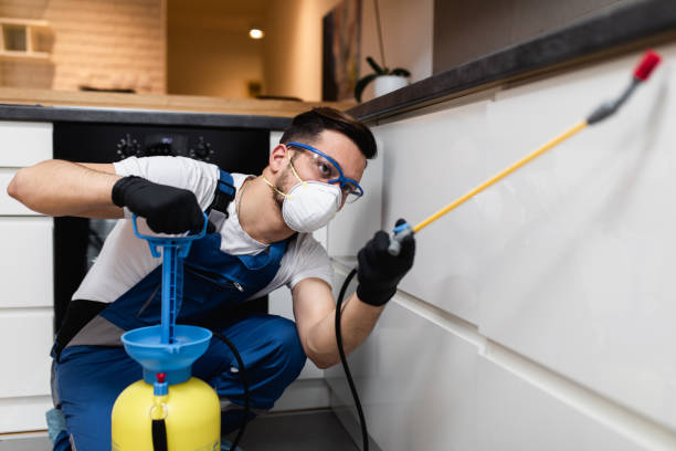 Best Termite Control Services  in Sonoma, CA