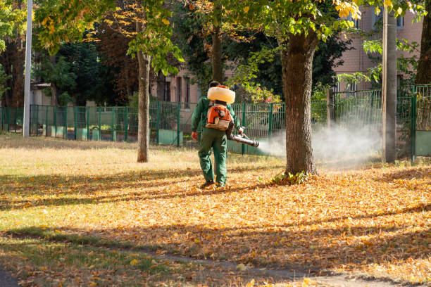 Best Best Pest Control Companies  in Sonoma, CA