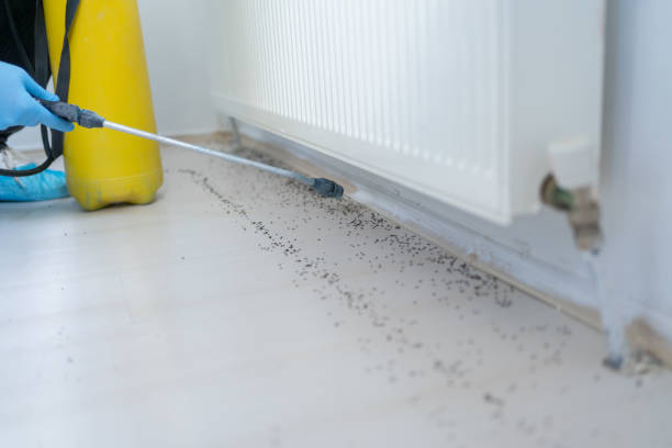 Professional Pest Control in Sonoma, CA