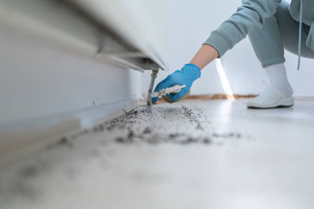 Best Flea Control Services  in Sonoma, CA