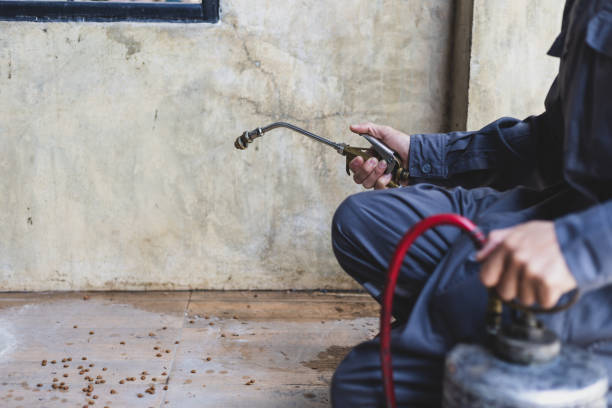 Best Exterminator Services  in Sonoma, CA